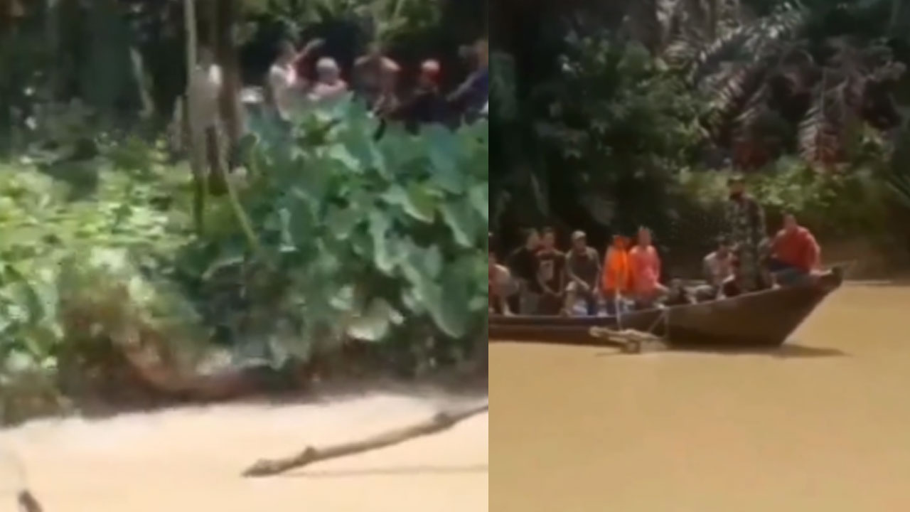 Viral Video: నది ఒడ్డున ఉన్న బాలికను.. నీటిలోకి లాక్కెళ్లిన మొసలి.. కూతురిని కాపాడుకునేందుకు తల్లి ఏం చేసిందంటే.. 