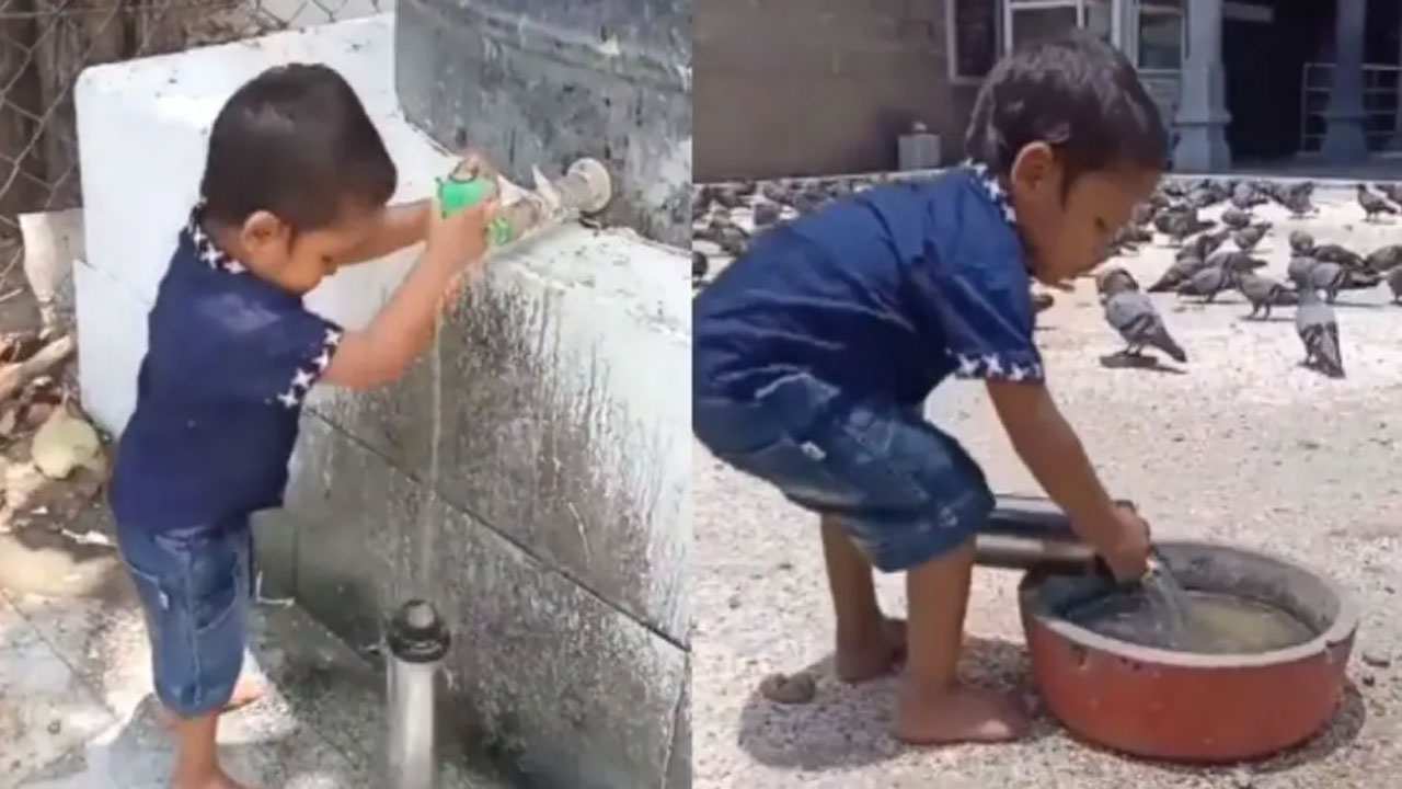 Viral Video: ఈ బుడ్డోడి మనసు పెద్దది.. పక్షులకు నీరు అందించేందుకు ఎంత తపన పడుతున్నాడో చూడండి.. 