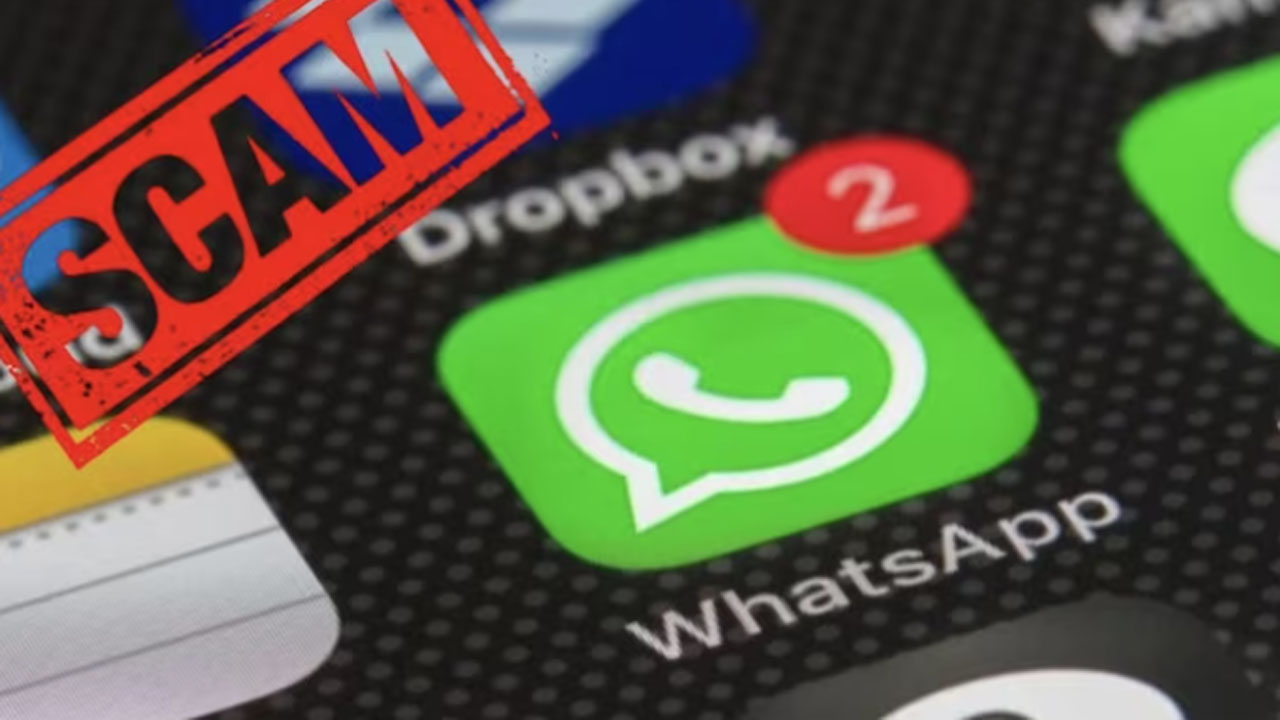 WiFi: వైఫై పనిచేయడం లేదని ఓ సాఫ్ట్ వేర్ మహిళ చేసిన పనితో.. ఊహించని పరిణామం.. జరిగింది ఆలస్యంగా తెలిసి..!