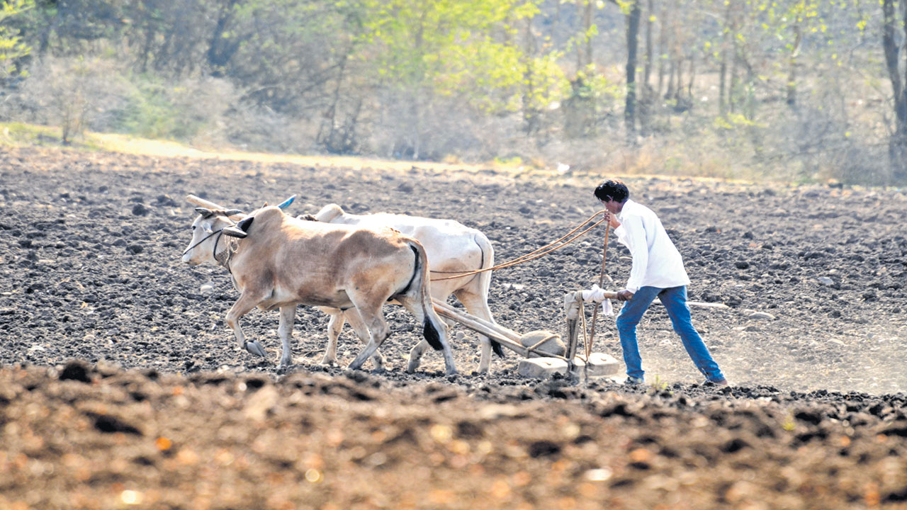 Podu land  : అక్రమాల ‘పోడు’!