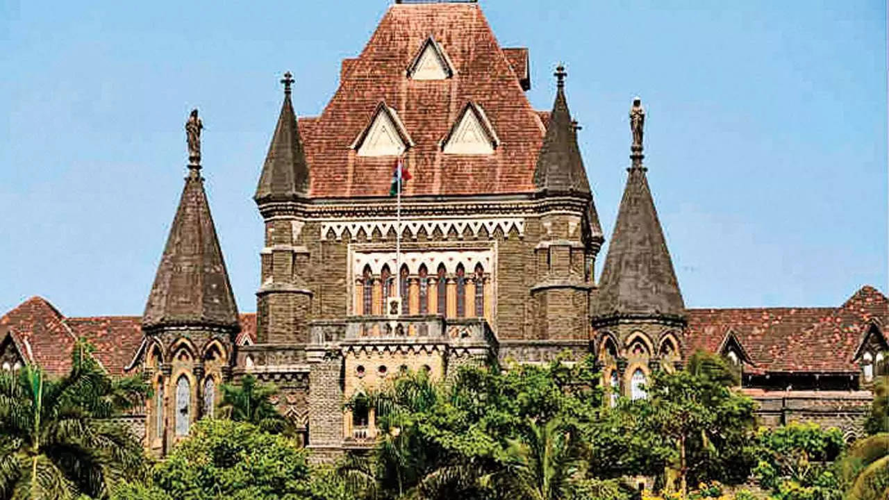 Bombay High Court: చీమను చంపడానికి సుత్తిని తెస్తారా..?