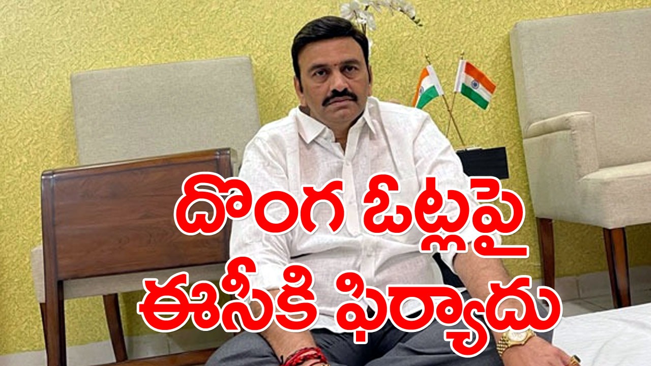 RRR: ఈసీని కలిసిన ఎంపీ రఘురామ.. దొంగ ఓట్ల వ్యవహారంపై ఫిర్యాదు