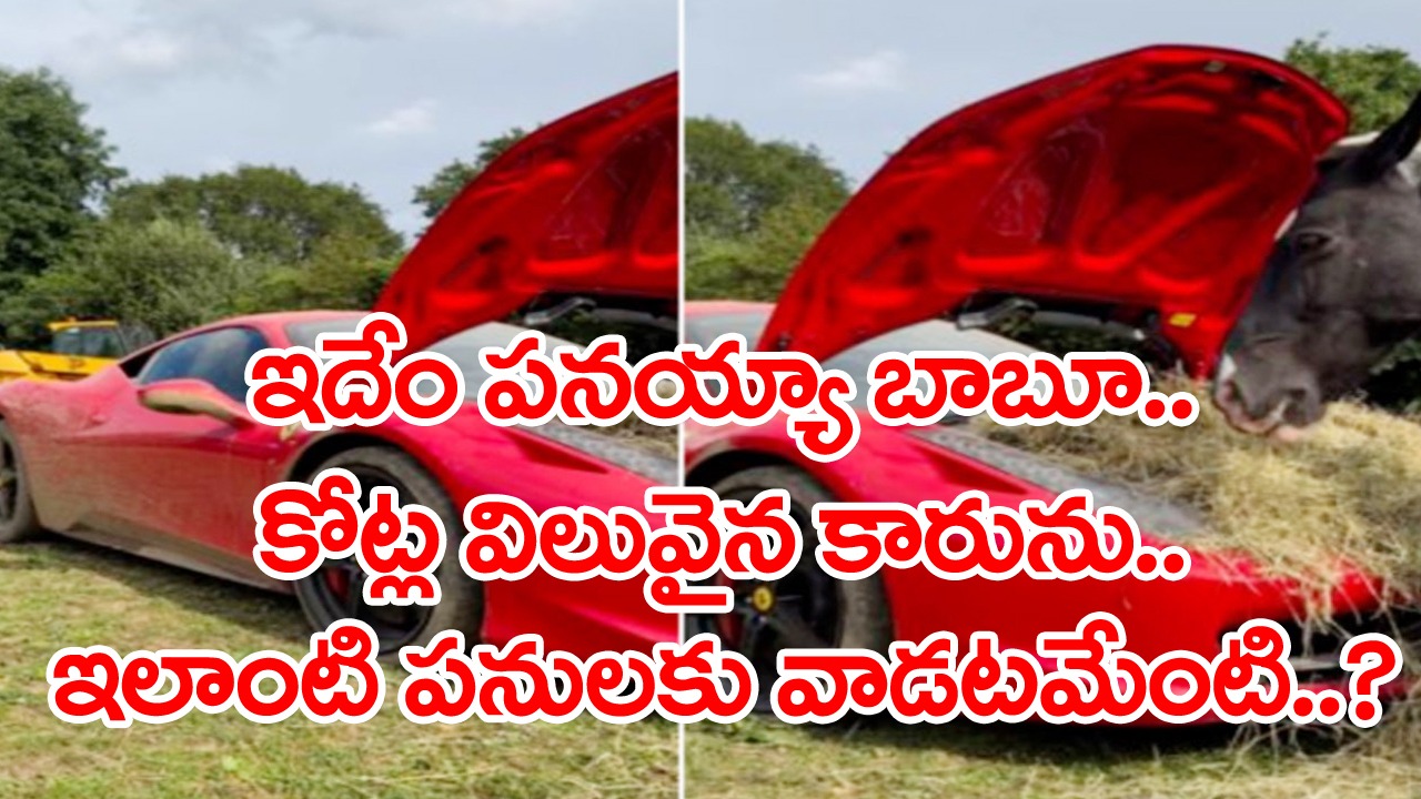 Viral Video: వీళ్లెవరో కానీ.. డబ్బు విలువ బొత్తిగా తెలియదనుకుంటా.. కోట్ల విలువైన ఫెరారీ కారును ఎలా వాడుతున్నారో చూస్తే..!