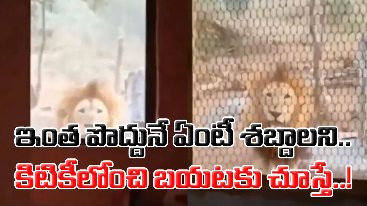 Viral Video: ఇంటి బయట ఏదో అలికిడి.. నిద్రలేచి ఏంటా.. అని కిటికీలోంచి చూస్తే.. గుండె ఆగినంత పనయింది..!