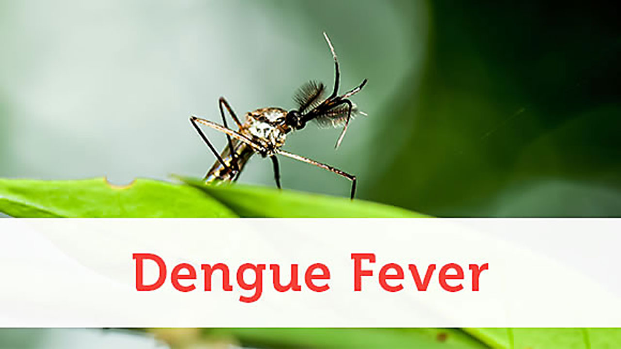 Dengue fever: కలకలం రేపుతున్న ‘డెంగీ’.. ఒక్క బెంగళూరులోనే 900 మందికి 