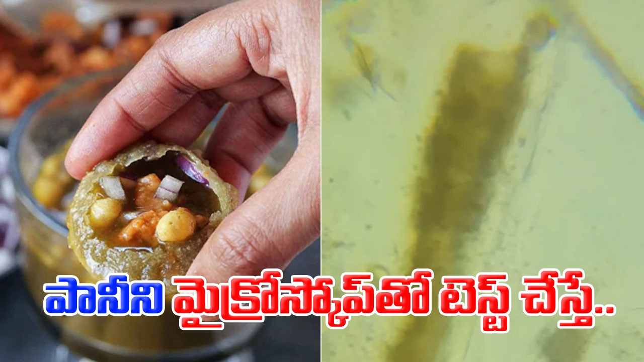 Viral Video: మీరు పానీపూరీ తరచుగా తింటారా? అయితే ఈ వీడియో చూడండి.. పానీని మైక్రోస్కోపుతో టెస్ట్ చేస్తే.. 