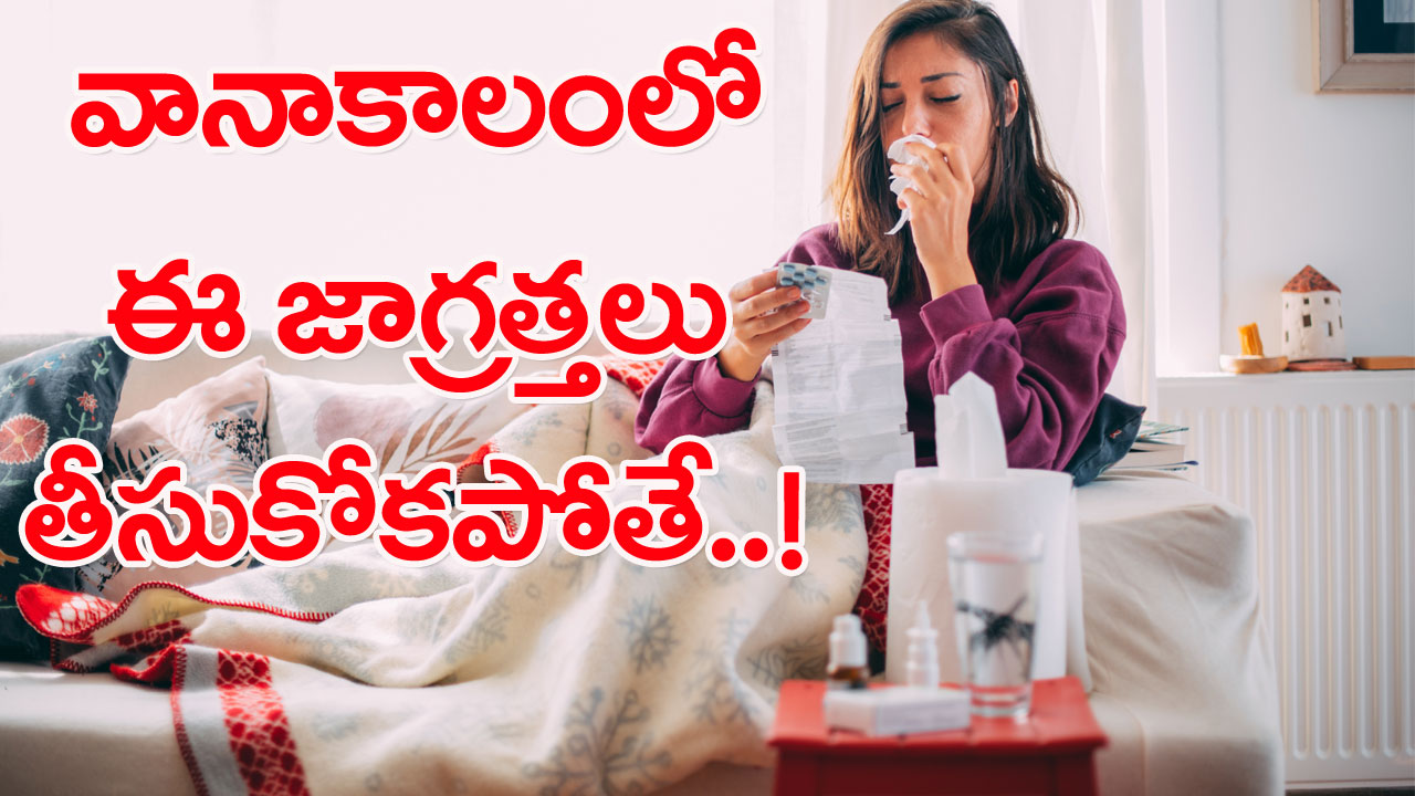 Seasonal care: వర్షాకాలమంతా ఉల్లాసంగా సాగిపోవాలంటే..!