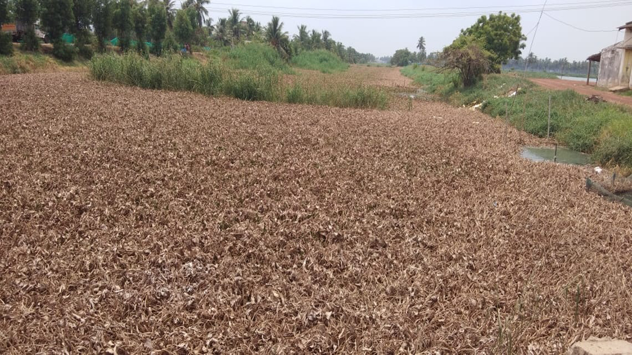 మొక్కుబడి పనులే ముంచుతున్నాయి