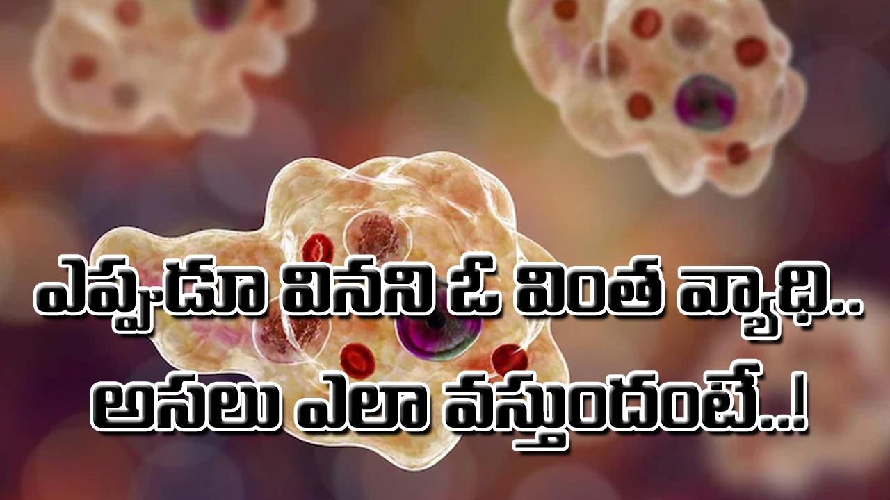 Naegleria Fowleri: ఏంటీ ఈ నగ్లేరియా ఫాలెరీ..? ఈ వింత వ్యాధి రెండేళ్ల వయసున్న ఓ పిల్లాడిని ఎలా చంపేసిందంటే..!