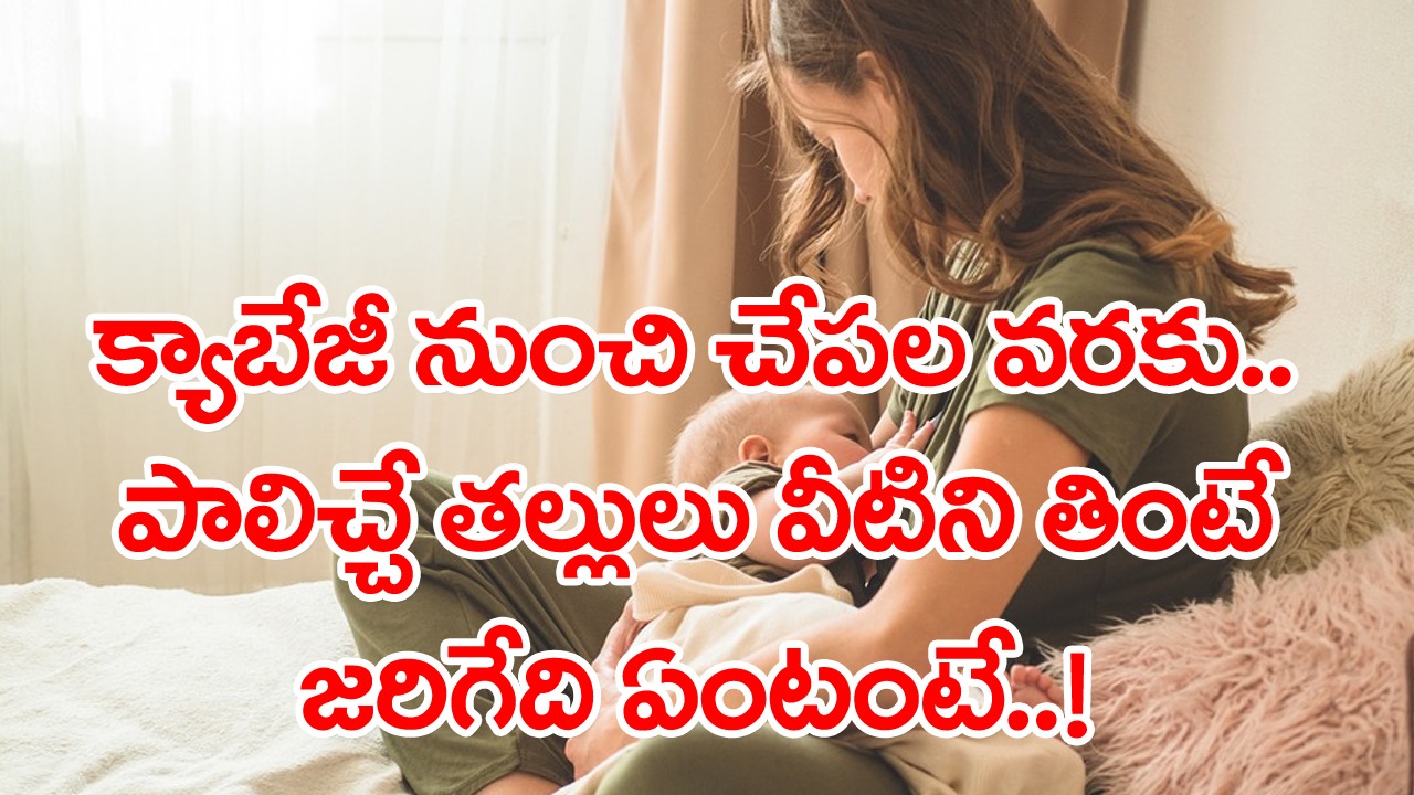 Breastfeeding Mothers: పాలిచ్చే తల్లులూ.. పొరపాటున కూడా ఈ ఆహార పదార్థాలను తినొద్దు.. ఎంత ఇష్టమైన కర్రీలైనా సరే..!