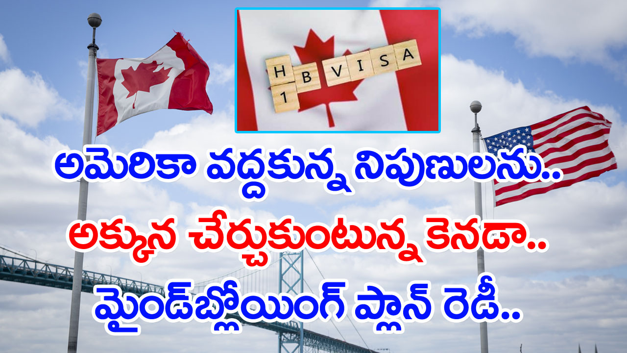 H-1B Visa: హెచ్ 1బీ వీసాదారులకు వర్క్ పర్మిట్.. కెనడా పథకానికి భారీ స్పందన..!