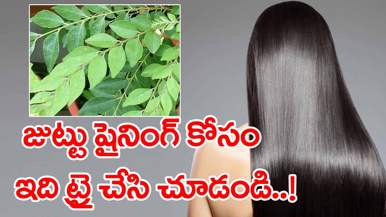 Curry Leaves: కూరల్లో వేసే కరివేపాకును ఇలా కూడా వాడొచ్చిన తెలిసి ఉండదు.. జుట్టు సమస్యలకు చెక్ పెట్టాలంటే..!