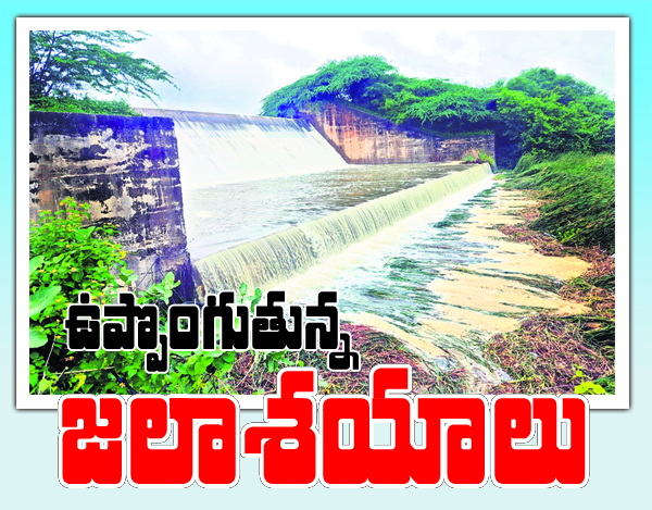 ఉప్పొంగుతున్న జలాశయాలు