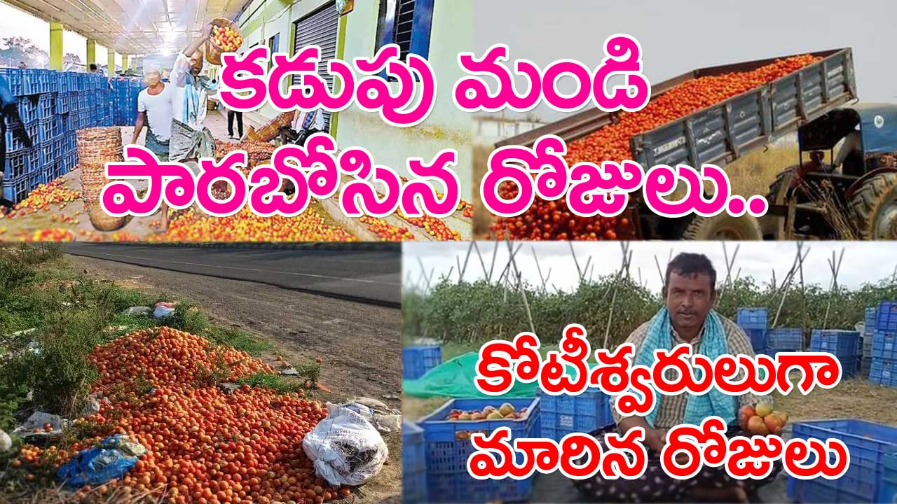 Tomato Farmer: బంగారం పండించినా ఇంత సంపాదించలేరేమో.. చిత్తూరు జిల్లా రైతా.. మజాకా..!