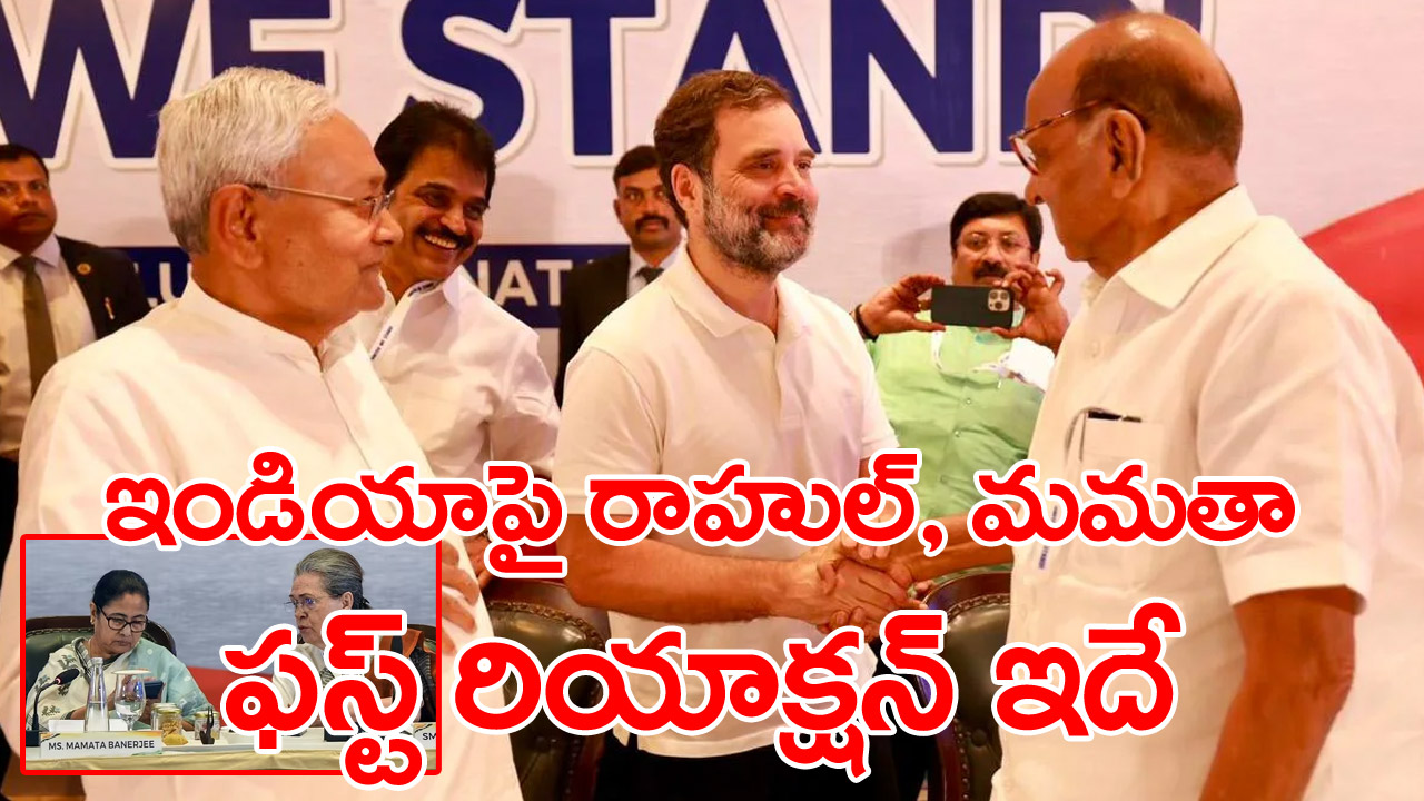 Rahul Gandhi On I.N.D.I.A : ఇండియా వర్సెస్ నరేంద్ర మోదీ మధ్య పోరాటం: రాహుల్ గాంధీ