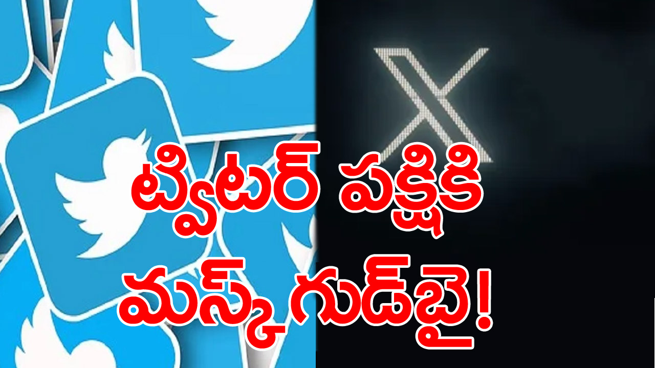 Twitter: త్వరలోనే ‘ట్విటర్ బర్డ్’ కనుమరుగు!.. ఎలాన్ మస్క్ ఇంట్రెస్టింగ్ ట్వీట్స్...