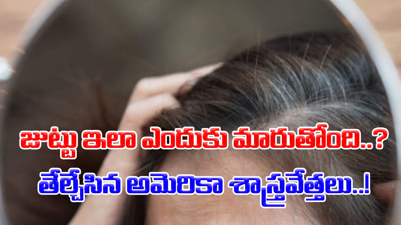Grey Hair: జుట్టు ఇలా మారిపోవడానికి అసలు కారణం ఇదన్నమాట.. మొత్తానికి తేల్చేసిన అమెరికా శాస్త్రవేత్తలు..!