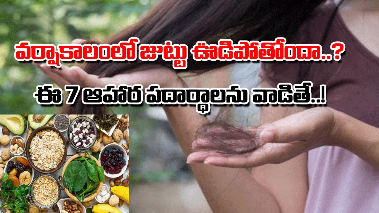 Monsoon Hair Fall: వర్షాకాలంలోనే కొందరికి ఎందుకిలా..? విపరీతంగా జుట్టు ఊడిపోకుండా ఉండాలంటే..! 
