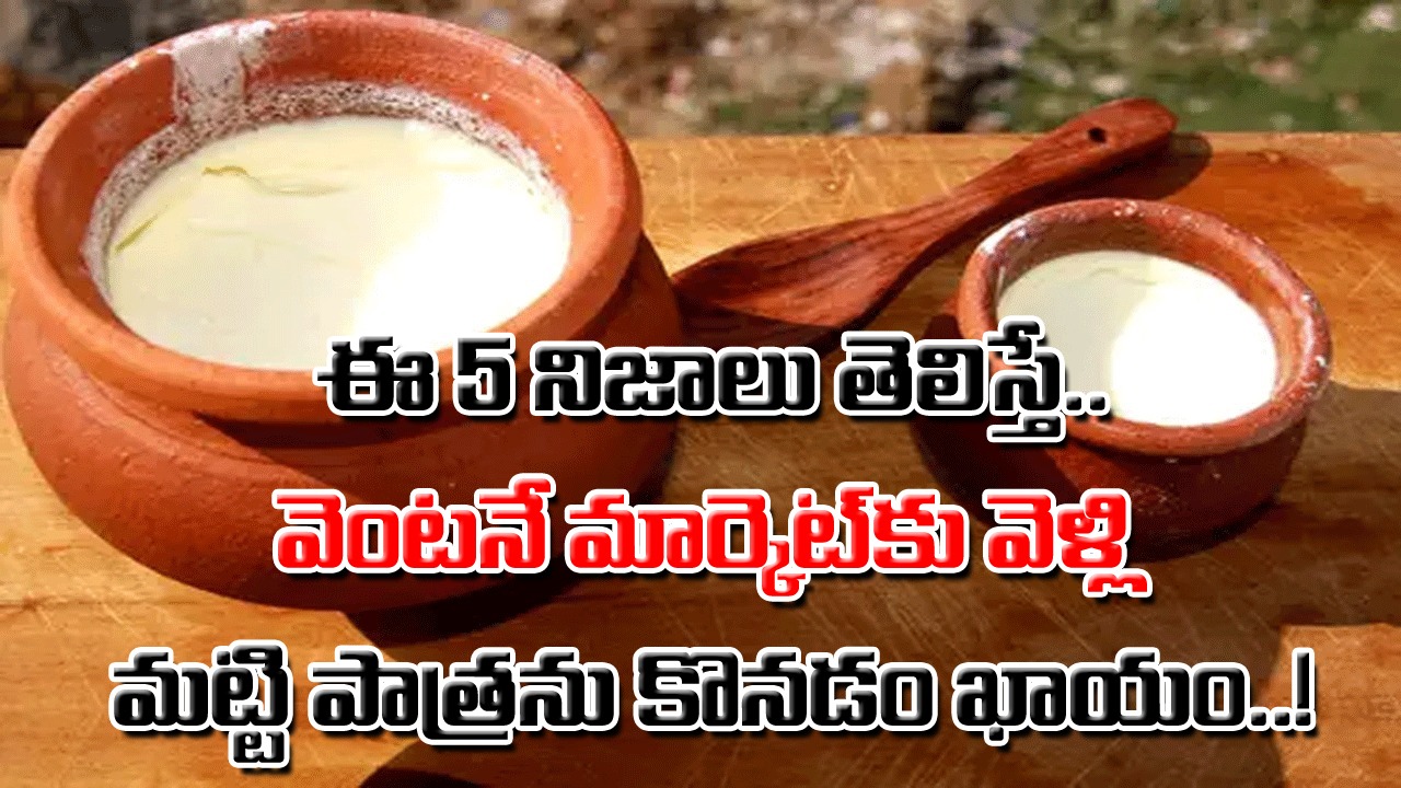 Curd: మట్టి పాత్రలోనే పెరుగును తోడు పెట్టమని చెప్పేది ఇందుకే.. నూటికి 99 శాతం మందికి తెలియని 5 నిజాలివీ..!