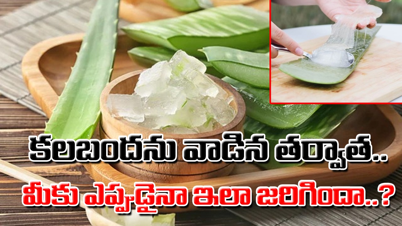 Aloe Vera Side Effects: కలబంద ఎంత మంచిదో అని అంతా అనుకుంటారు కానీ.. ఈ సైడ్ ఎఫెక్ట్స్ గురించి మీకు తెలుసా..?