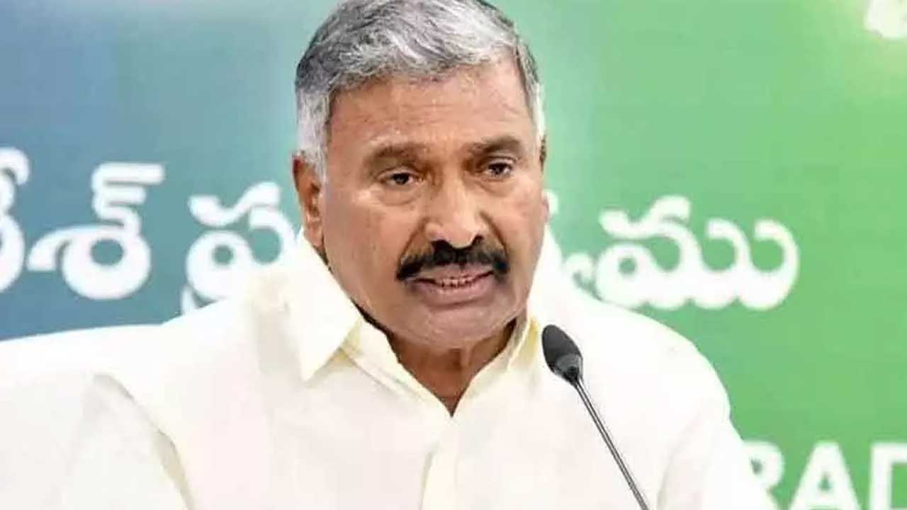 peddireddy: నోరు జారిన వైసీపీ మంత్రి పెద్దిరెడ్డి.. భరత్‌ను ఎమ్మెల్యేగా గెలిపిస్తే సీఎం చేస్తామంటూ వ్యాఖ్యలు