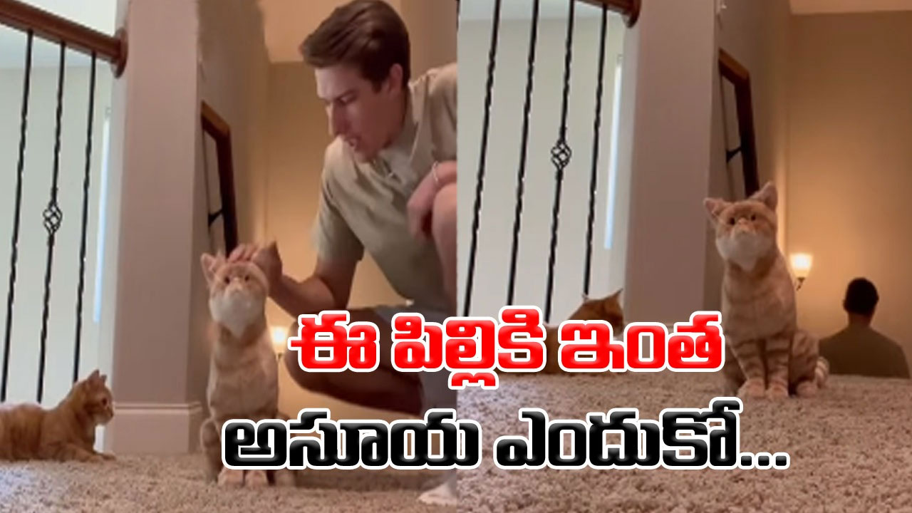 Viral Video: ఈ పిల్లికి మరీ ఇంత అసూయ ఎందుకో.. యజమాని పట్టించుకోలేదని చివరకు ఏం చేసిందో చూడండి.. 