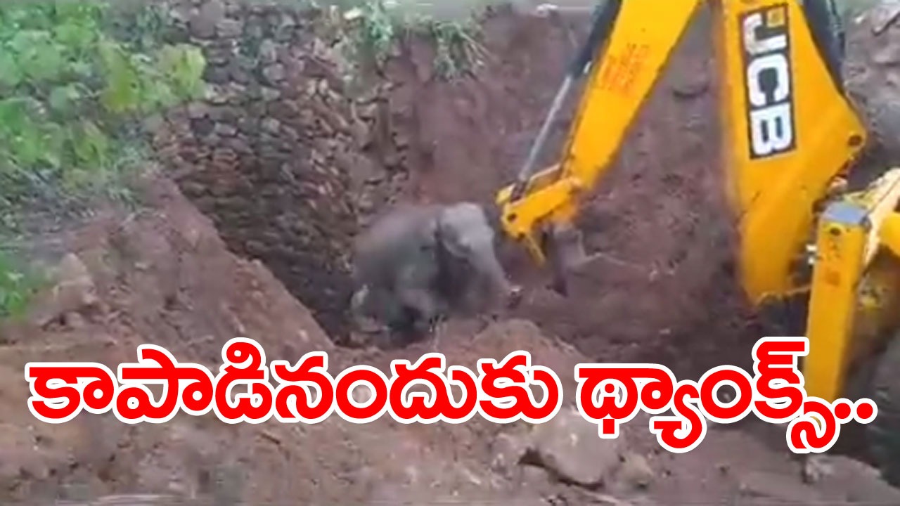 Viral Video: కాపాడినందుకు థ్యాంక్స్.. బావిలో పడిన ఏనుగును కాపాడిన సిబ్బంది.. వీడియో వైరల్!