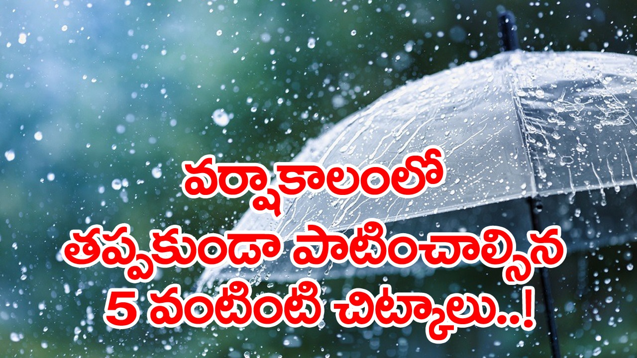 Monsoon Kitchen Tips: వండుకుని తినడమే కాదండోయ్.. వర్షాకాలంలో వండిన ఆహారం పాడైపోకుండా ఉండాలంటే..!