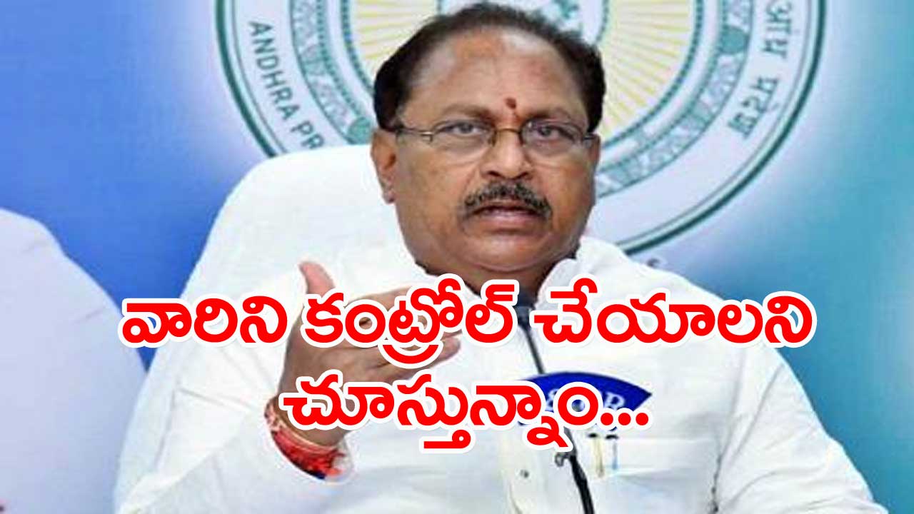 Deputy CM: జనసేన కార్యకర్తలపై డిప్యూటీ సిఎం సంచలన వ్యాఖ్యలు..