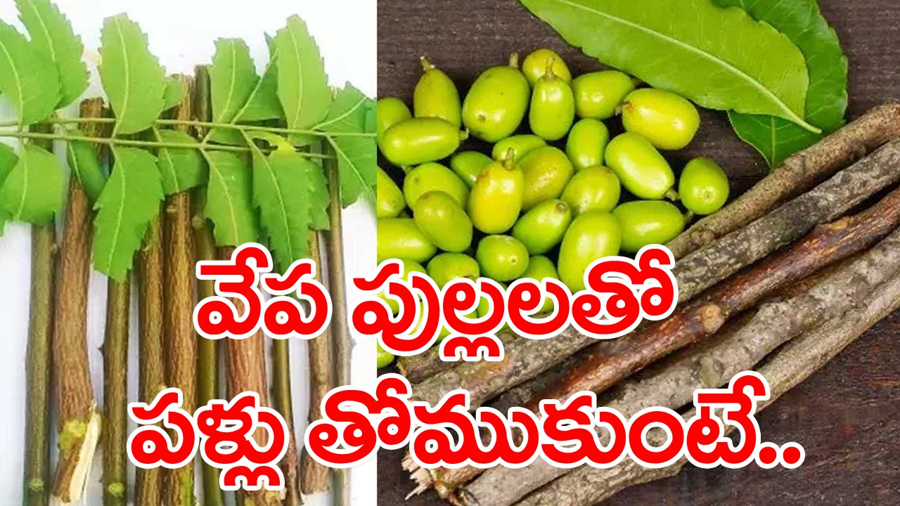 Health Tips: వేప పుల్లలతో పళ్లు తోముకుంటే జరిగేది ఏంటి..? వీటిని వాడేవాళ్లకు ఈ నిజాలు తెలిసి ఉండదు కూడా..!