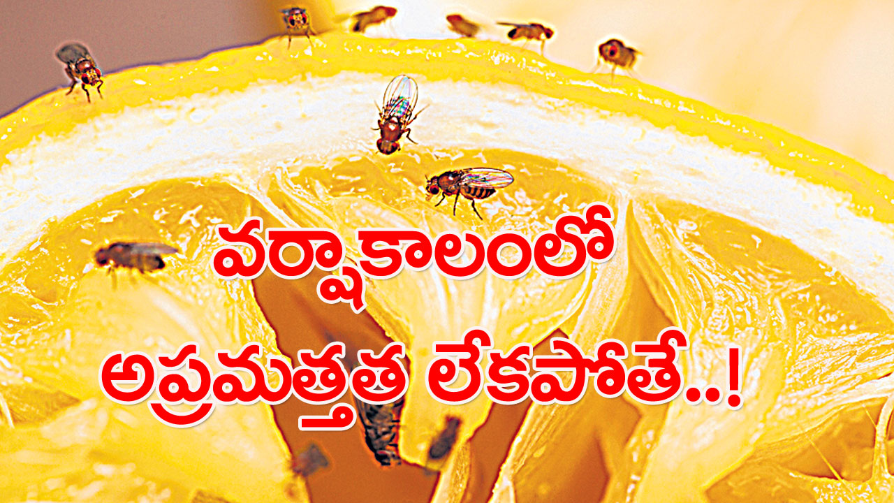 Rainy season: పొంచి ఉన్న రోగాలు.. వైద్యులు ఏం చెబుతున్నారంటే..!