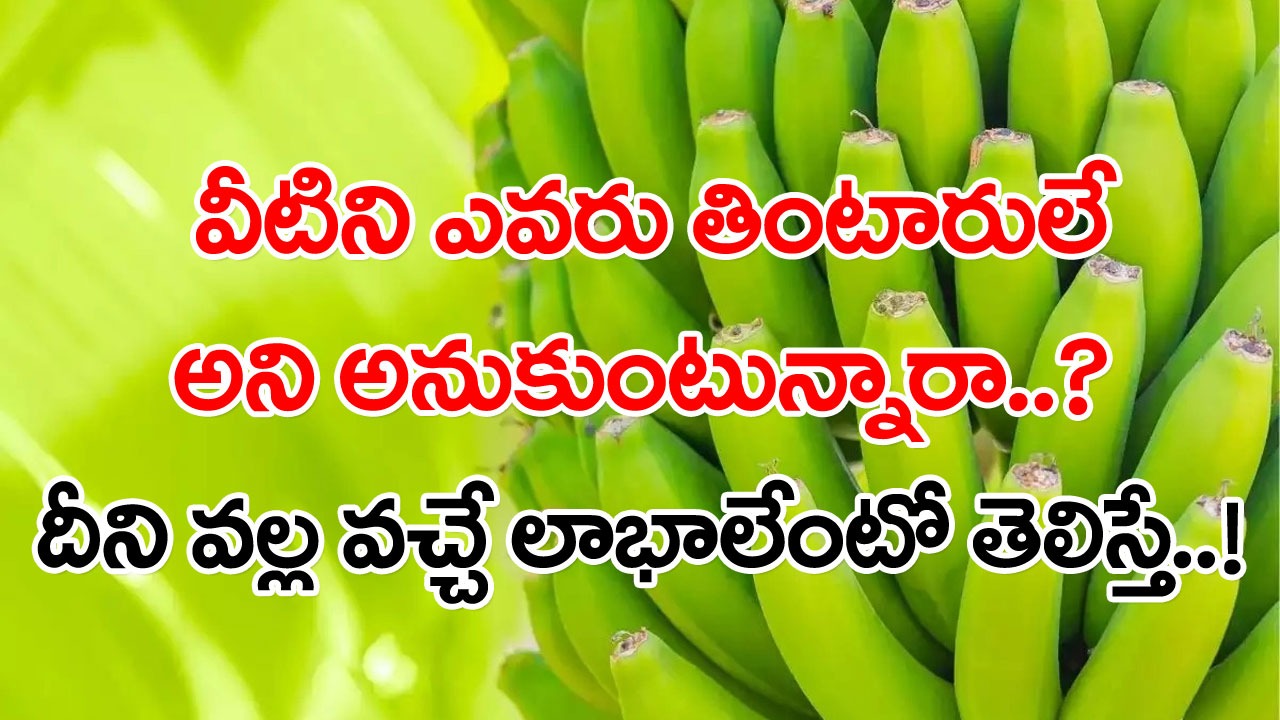 Green Bananas: ఆకుపచ్చ రంగులోని ఈ అరటికాయలను చూసి.. పట్టించుకోని వాళ్లే ఎక్కువ.. కానీ దీని లాభమేంటో తెలిస్తే..!