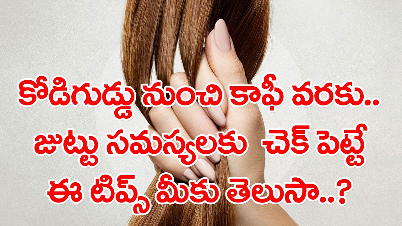 Hair Tips: ఏ మందులూ అక్కర్లేదు.. ఇంట్లో దొరికే వీటితో.. ఈ 4 రకాల టిప్స్‌తో.. మీ జుట్టు భద్రం..!