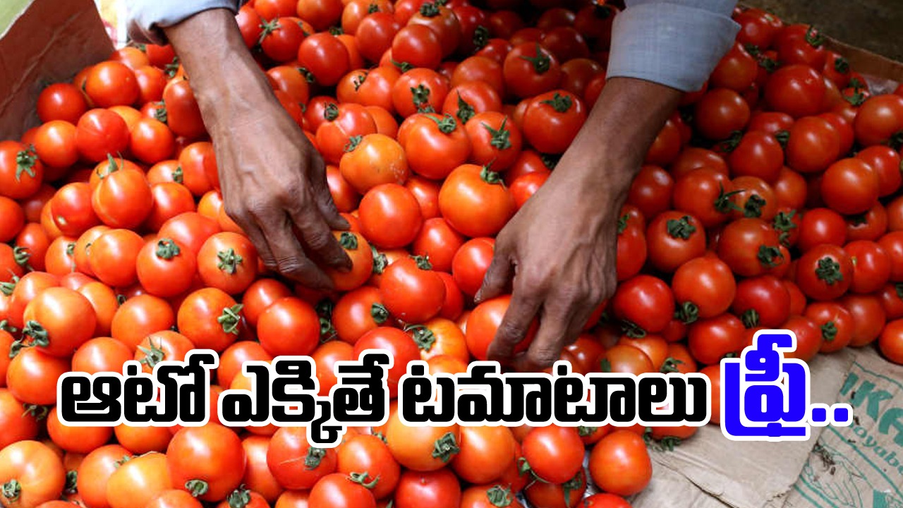 Tomato: అతడి ఆటో ఎక్కితే కేజీ టమాటాలు ఫ్రీ అట.. కాకపోతే ఓ కండిషన్.. అది ఏంటంటే.. 