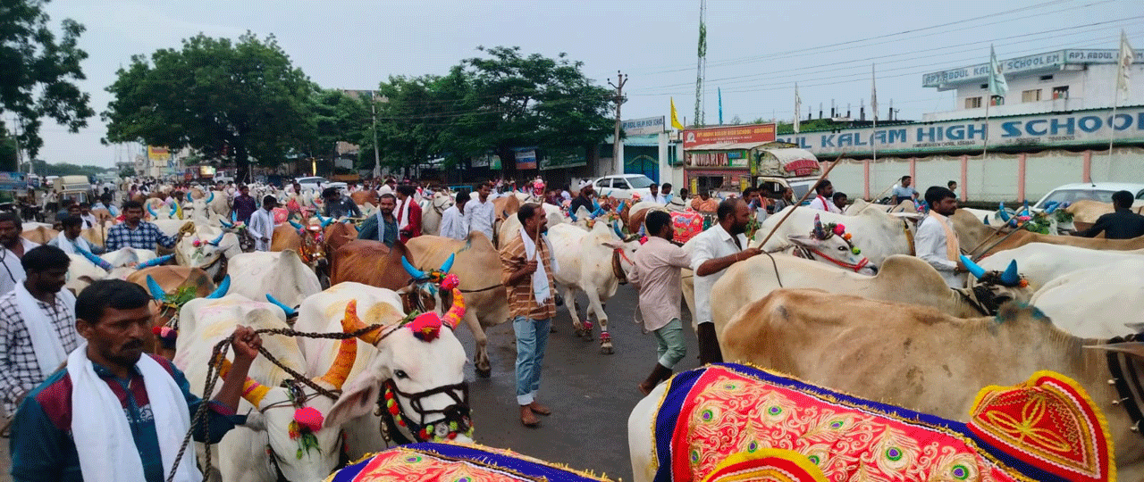 సంస్కృతిని భావితరాలకు అందించాలి