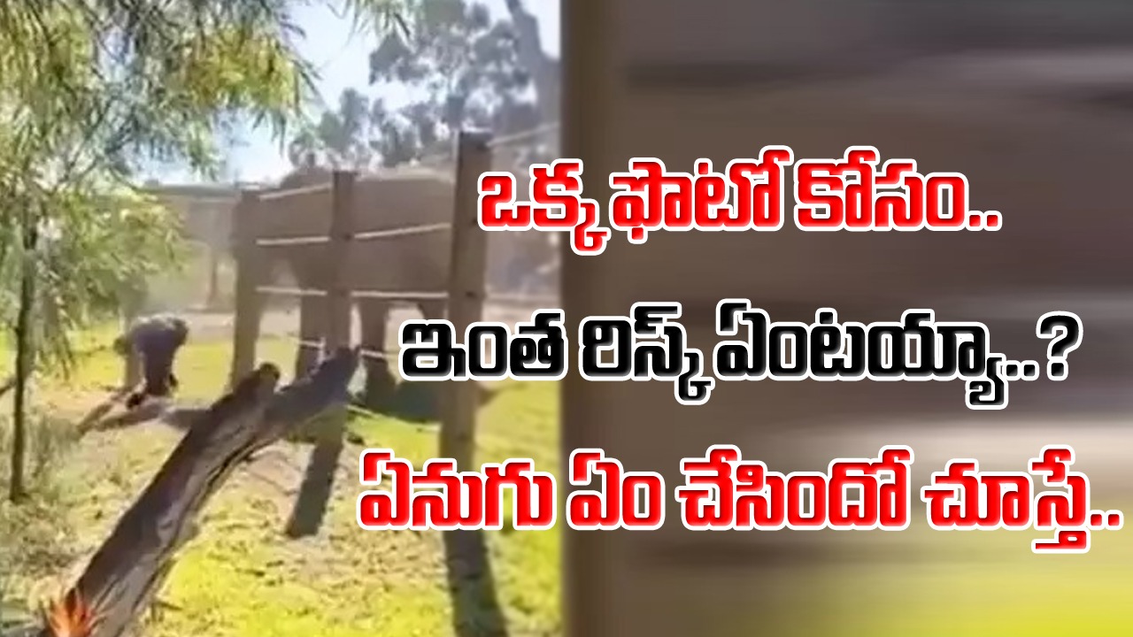 Viral Video: ఒక్క క్షణం ఆగి ఉంటే.. ఆ తండ్రీకూతుళ్ల ప్రాణాలు పోయేవి.. ఏనుగు అడ్డాలోకి దూరి ఫొటోలో తీసుకుంటోంటే..!