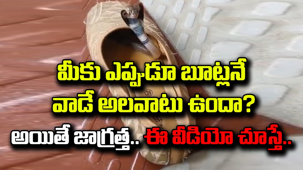 Viral Video: మీకు ఎప్పుడూ బూట్లనే వాడే అలవాటు ఉందా? అయితే జాగ్రత్త! ఐఎఫ్ఎస్ అధికారి షేర్ చేసిన వీడియోతో నెట్టింట గగ్గోలు!