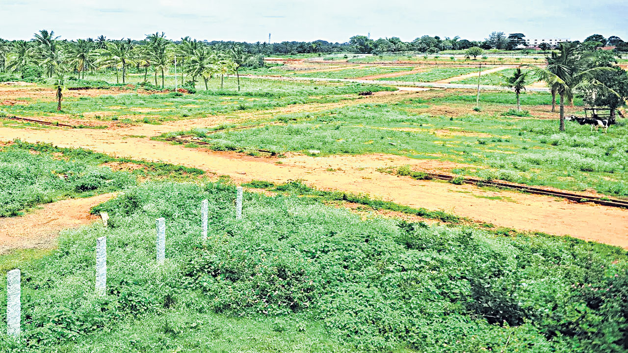 gajam-1lakh-the-plot-is-hot-1-lakh-per-square-yard