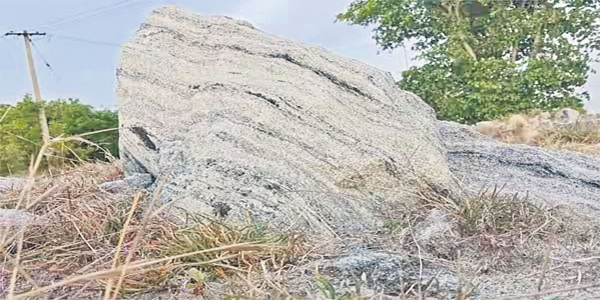 తమిళ గడ్డపై విక్రమ్ తొలి అడుగులు