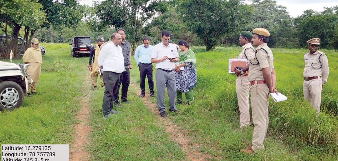 శాఖాహార జంతువులు పెరగాలి