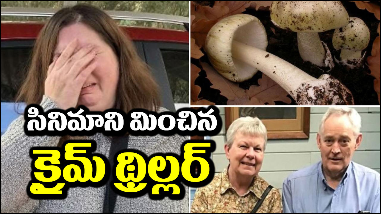 Mushrooms Crime Story: ఫ్యూజులు ఎగిరిపోయే క్రైమ్ స్టోరీ.. ఆ ఇంట్లో తిన్న వెంటనే ముగ్గురు ఢమాల్.. అసలేం జరిగిందంటే?