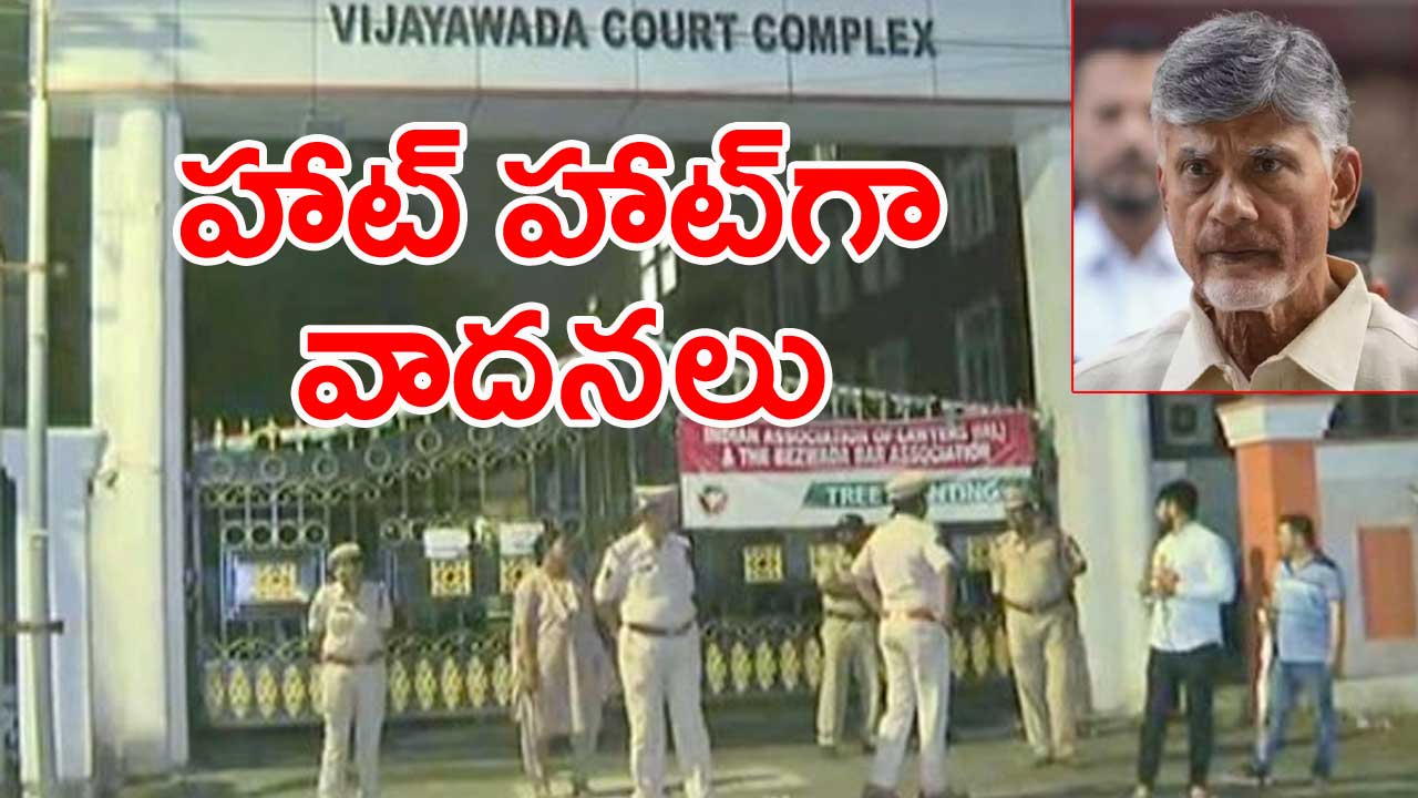 Chandrababu Arrest: చంద్రబాబు వాంగ్మూలం తీసుకున్న ఏసీబీ కోర్టు.. 