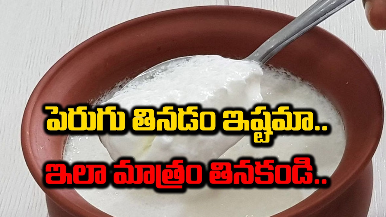 Health Facts: మీరు పెరుగు ఎక్కువగా తింటుంటారా? అయితే ఇలా మాత్రం తినకండి.. ఎలాంటి సమస్యలు వస్తాయంటే.. 