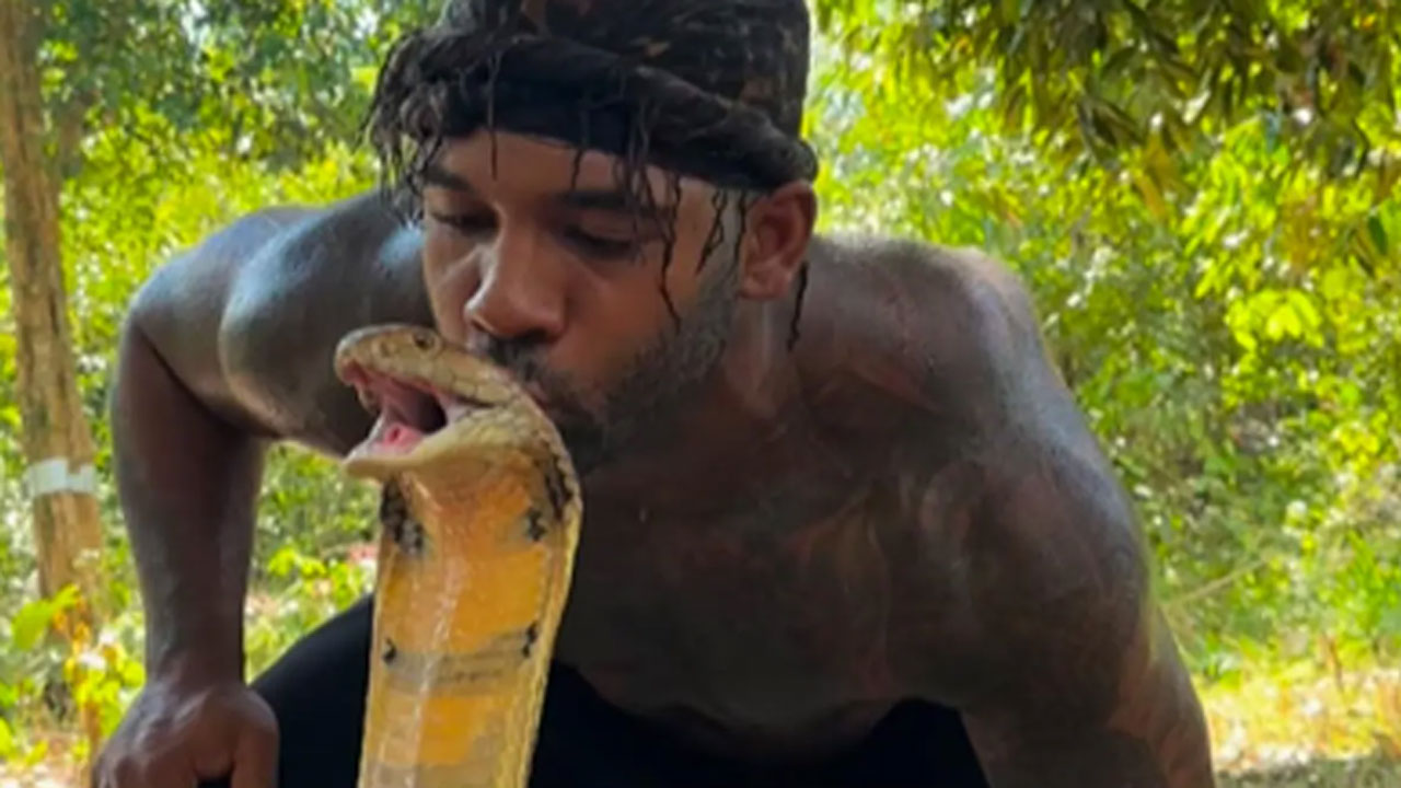 Man kisses Cobra: వీడేంటి ఇలా ఉన్నాడు.. అత్యంత విషపూరిత పాముకు ముద్దు పెట్టాడు.. ఆ పాము రియాక్షన్ ఏంటంటే..