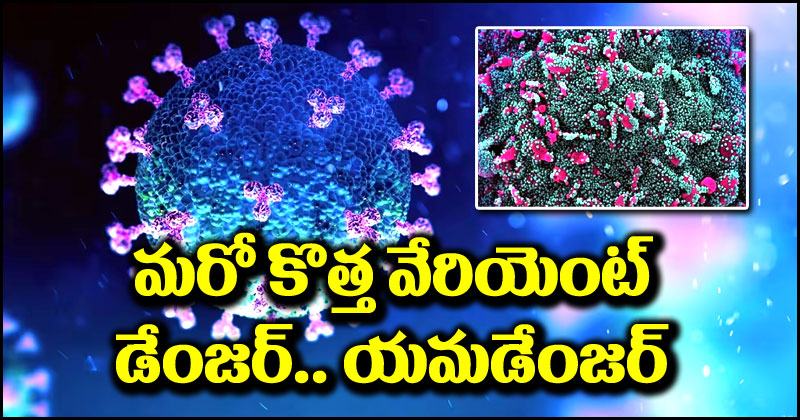 Pirola Variant: వార్నింగ్ బెల్స్ మోగిస్తున్న కరోనా కొత్త వేరియెంట్.. ఇతర వాటికంటే ఇది చాలా డేంజర్