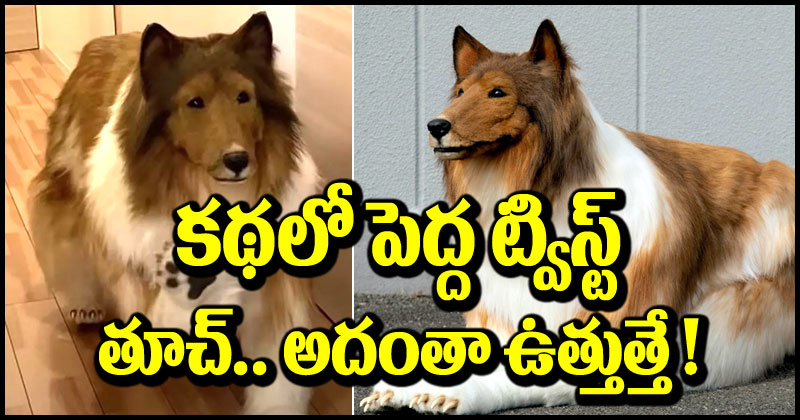 Human Dog: పెద్ద ట్విస్ట్ ఇచ్చిన ‘కుక్క’ మనిషి.. ఆలూ లేదు చూలూ లేదు.. అంతా హాంబక్