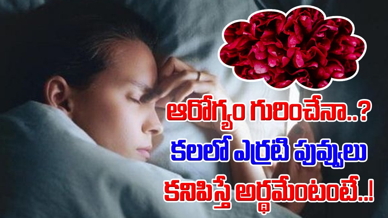 Dreams: ఎర్రటి పువ్వులు కలలో కనిపిస్తే.. దాని అర్థమేంటి..? ఆరోగ్యానికి.. దానికి ఉన్న సంబంధమేంటంటే..!