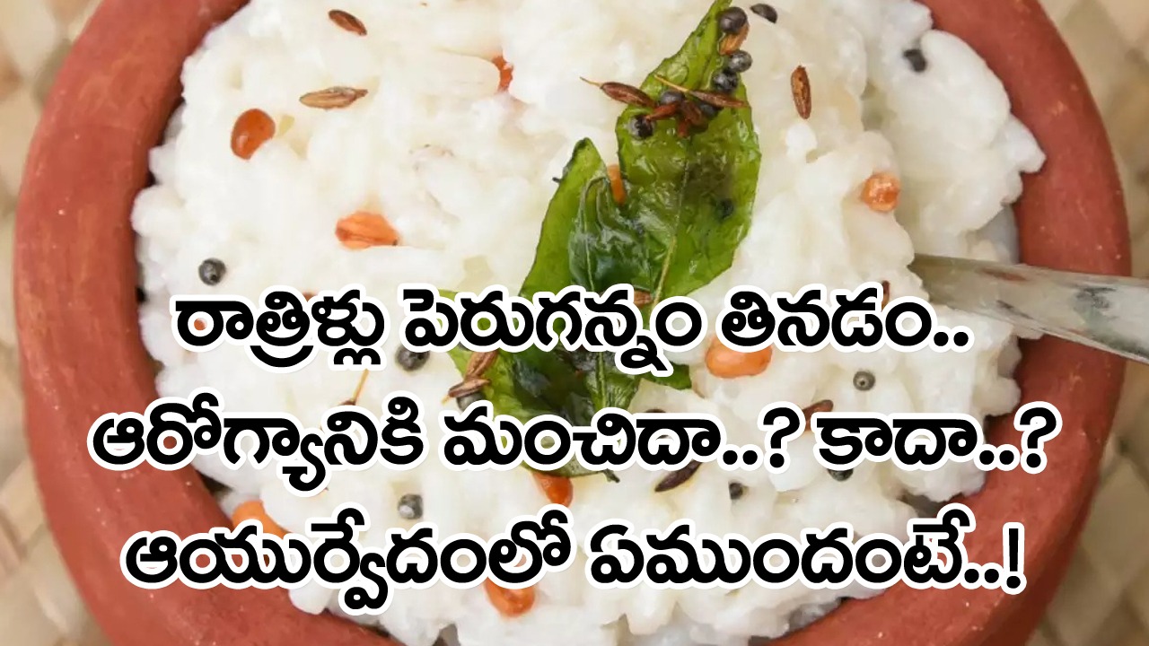 Eating Curd: రాత్రిళ్లు పెరుగన్నం తినడం మంచిదా..? కాదా..? ఆయుర్వేదంలో ఉన్న నిజాలివీ..!