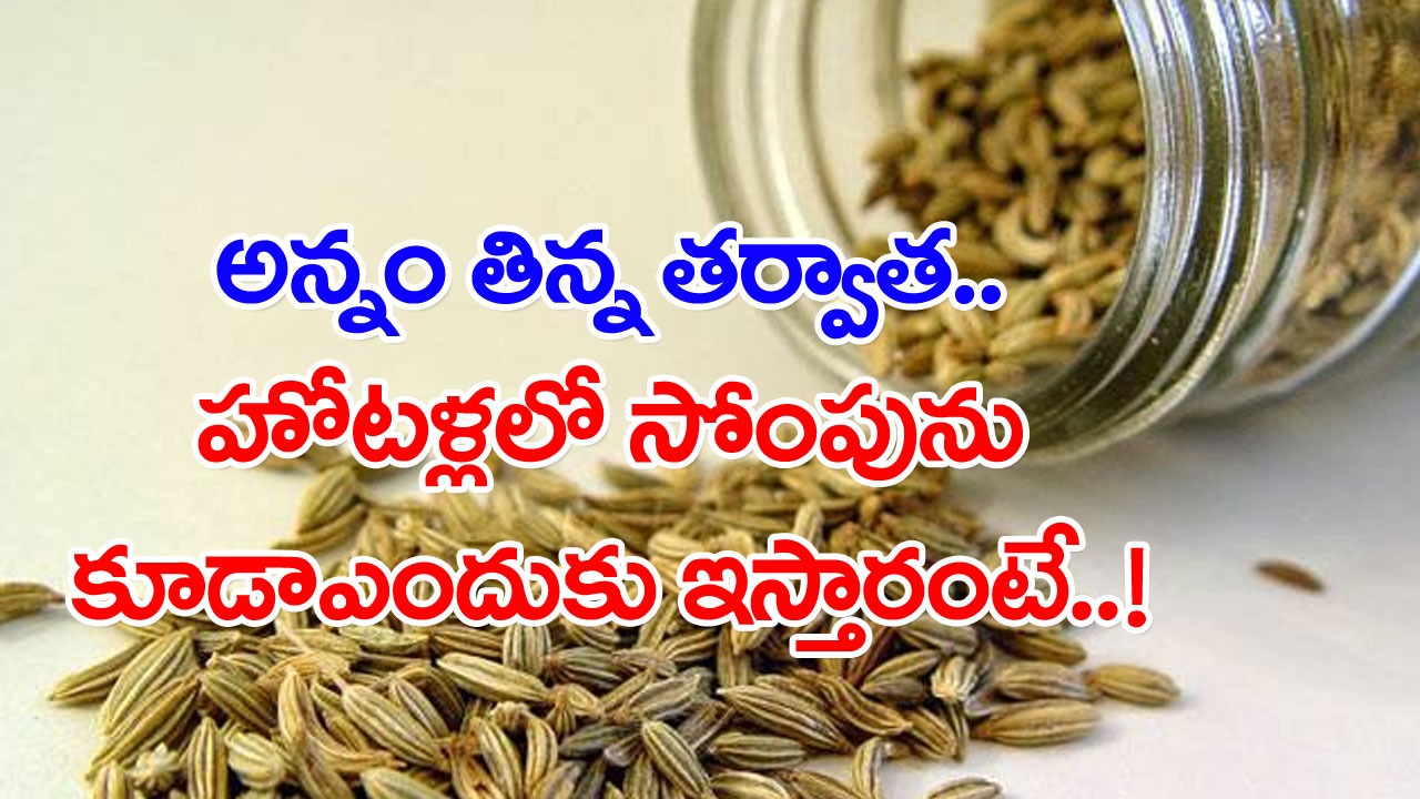 Health Facts: హోటళ్లలో భోజనం చేసిన వెంటనే సోంపులు కూడా తినేస్తుంటారా..? అయితే ఇది తెలుసుకోవాల్సిందే..!