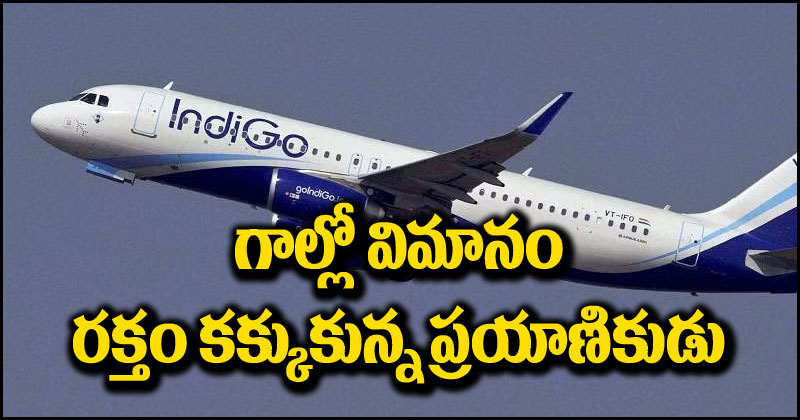 Indigo Flight: ఇండిగో విమానంలో ఊహించని ఘటన.. రక్తపు వాంతులు చేసుకున్న ప్రయాణికుడు.. ఆ తర్వాత ఏమైందంటే?